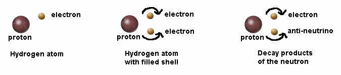 Compare neutron to hydrogen atom