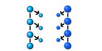 Link to comparison of pion and alpha particle